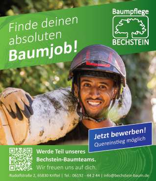 Baumpflege Bechstein